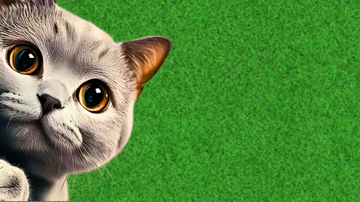 Why Does My Cat Stare at Me? Every Reason Explained by Science