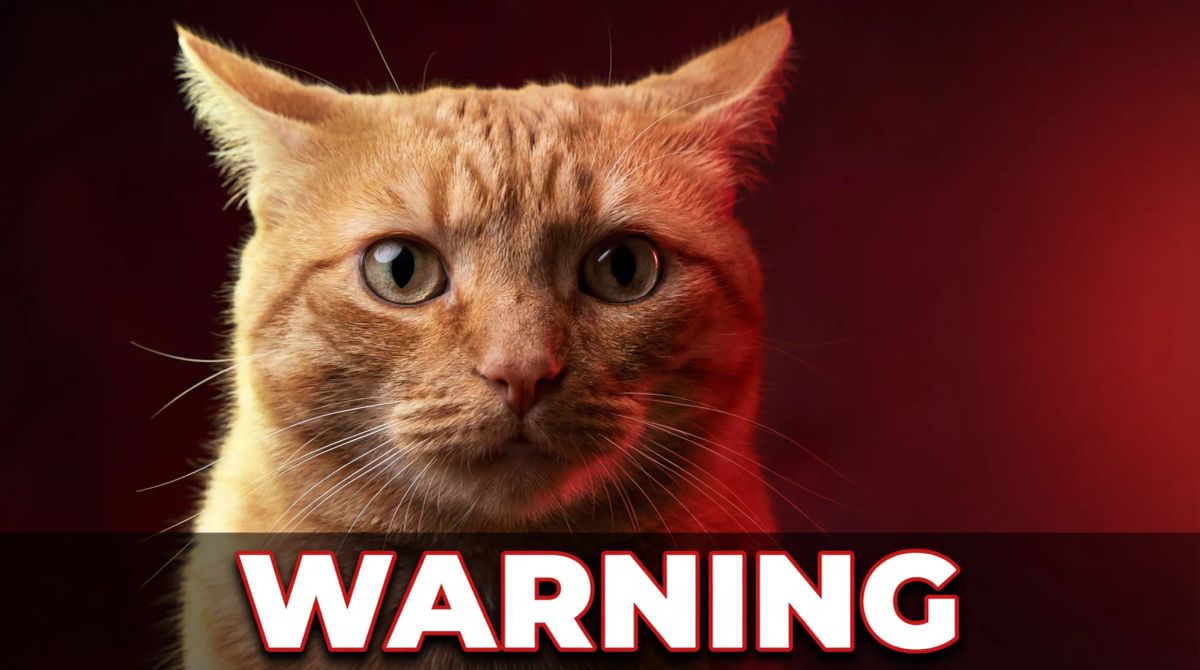 Why Is My Cat Breathing Fast? Normal Rates and Warning Signs