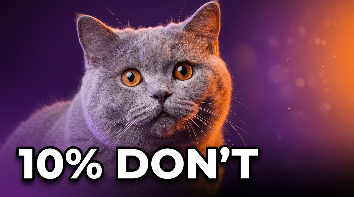 British Longhair cat with wide searching eyes against a purple and orange background - Male Cat Behavior After Neutering