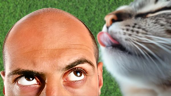 Why Does My Cat Eat My Hair? (Pica vs. Grooming Explained)