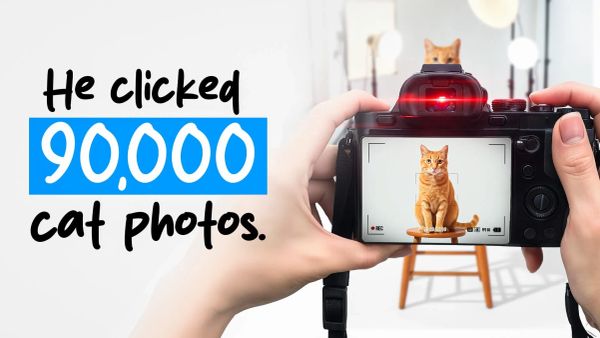 Walter Chandoha: The Godfather of Cat Photography Who Invented How We See Cats