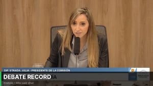 Debate record: COMISIÓN COMPLETA: ECONOMÍA - 23-04-2026 - INFORMATIVA - Diputados Argentina