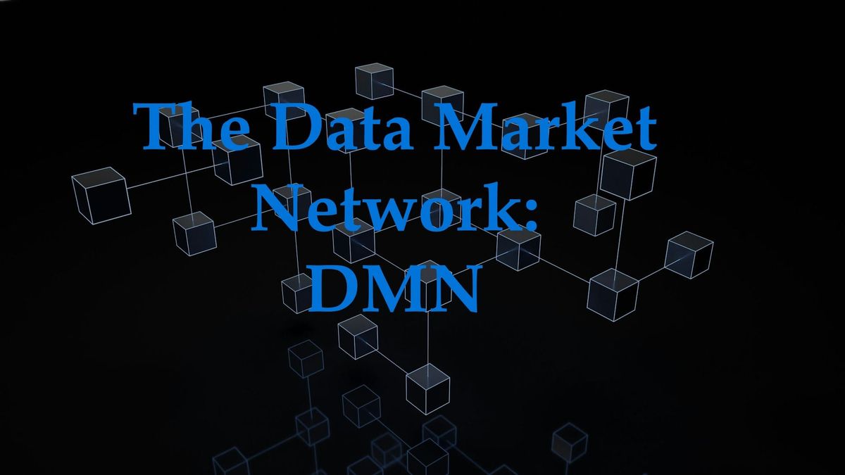 The Data Market Network: DMN represented by cubes connected by lines