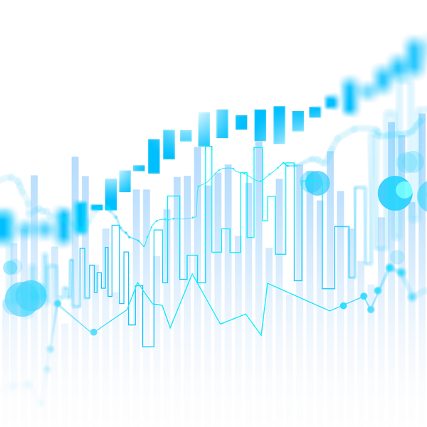 Portfolio Investment: A Strategic Approach to Financial Growth