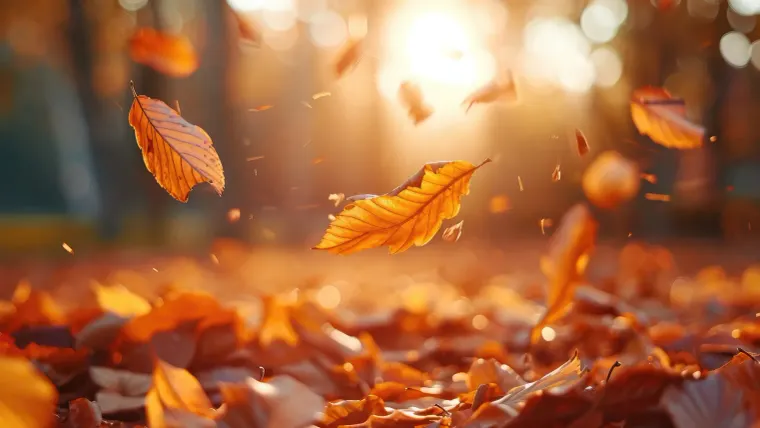 Death and suffering before the fall