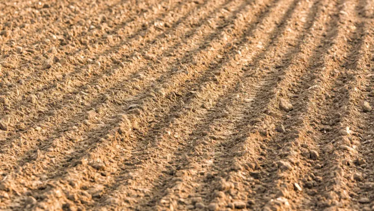 Five reasons Genesis 2 is a sequel