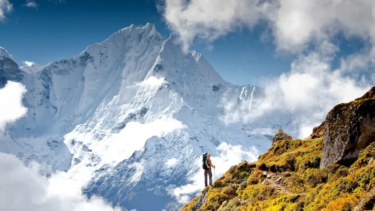 The pinnacle of creation