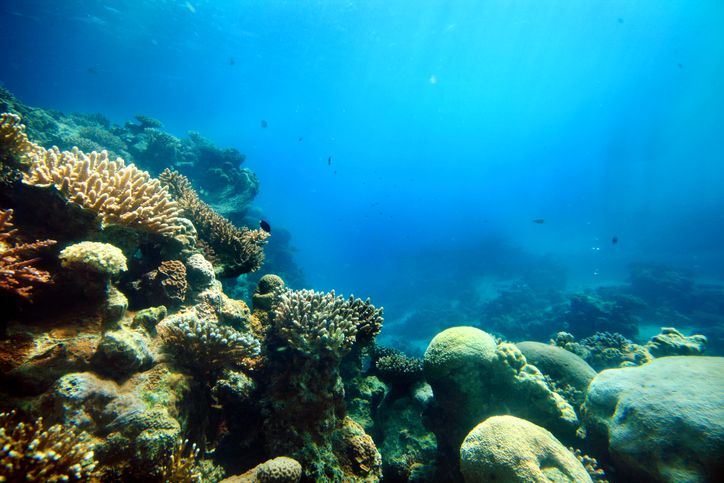 8 Amazing Facts About the Ocean