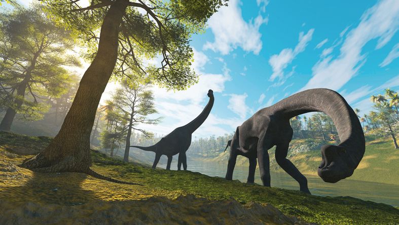 10 Awesome Facts About Dinosaurs