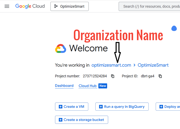 organization name