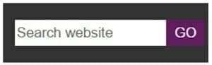search box website