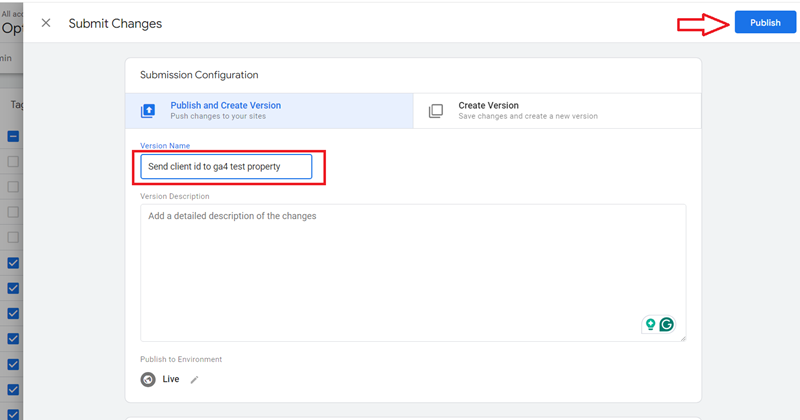Enter your container version name and then click on the ‘Publish‘ button