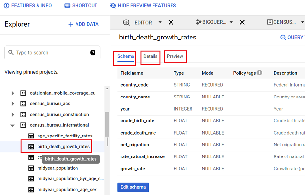 Schema Details and Preview tabs bigquery data table