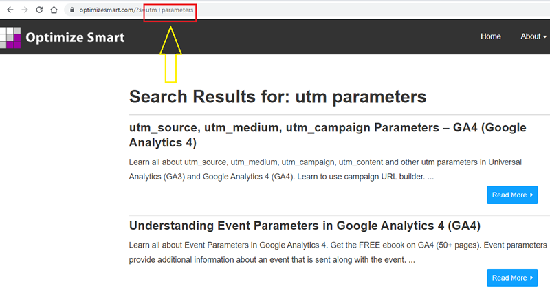 search query parameter