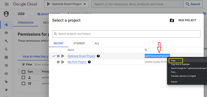 Copy your project ID