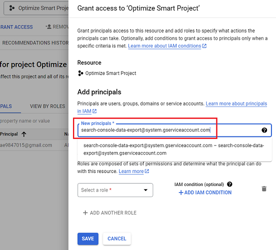 paste the following service account name