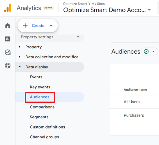 data display audiences