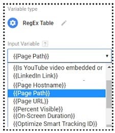 page path input variable