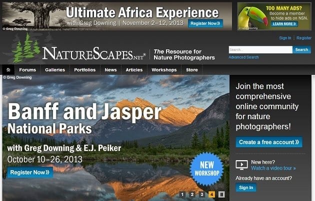Practical Tips to develop user engagement for e-commerce website 10 naturescape
