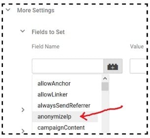 ip anonymization anonymizeIP