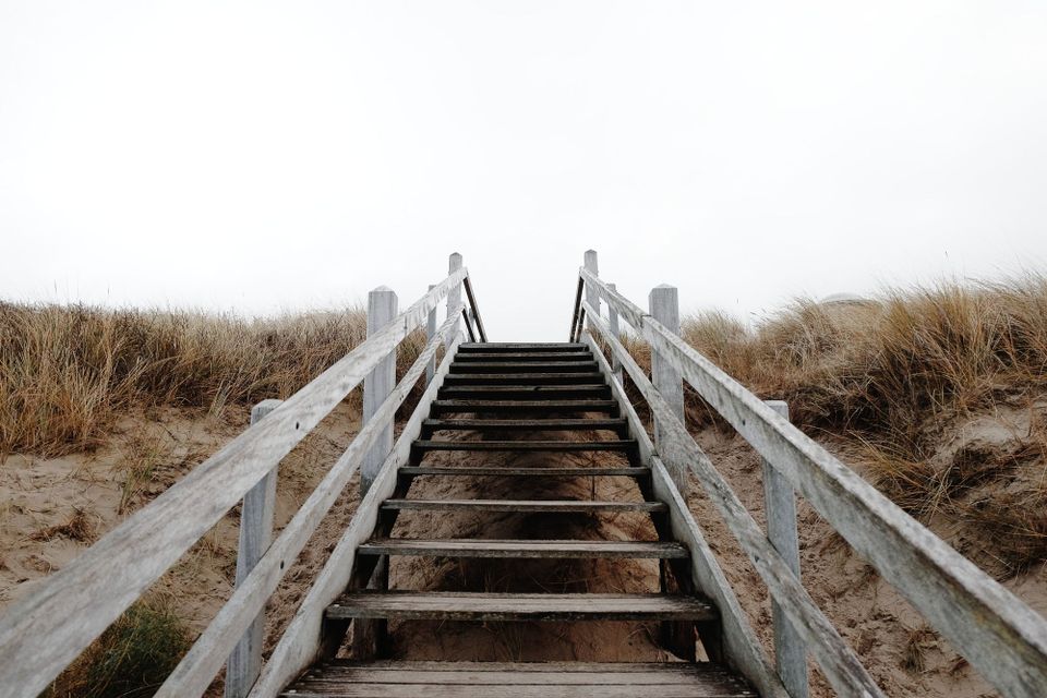 A wooden stair case leading up a sand dune, with windswept grass either side.