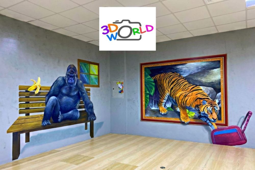 Raman Ticku, CEO of the world's largest 3D selfie museum shares details about the unique venue