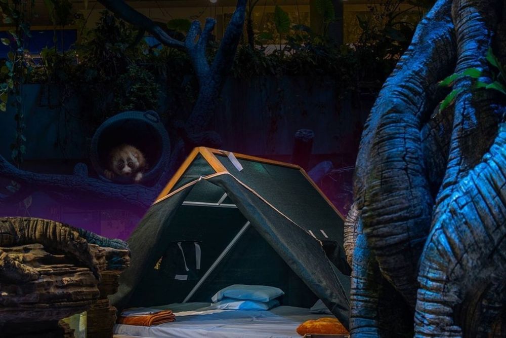 Dubai's only indoor rainforest is offering guests a chance to spend a night in the tropical bio-dome