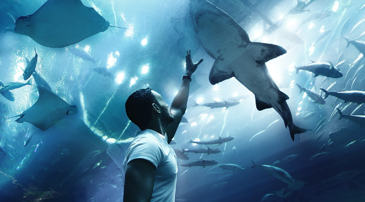 VIDEO : ‘Live Your Story’ - New campaign launched by Dubai Tourism