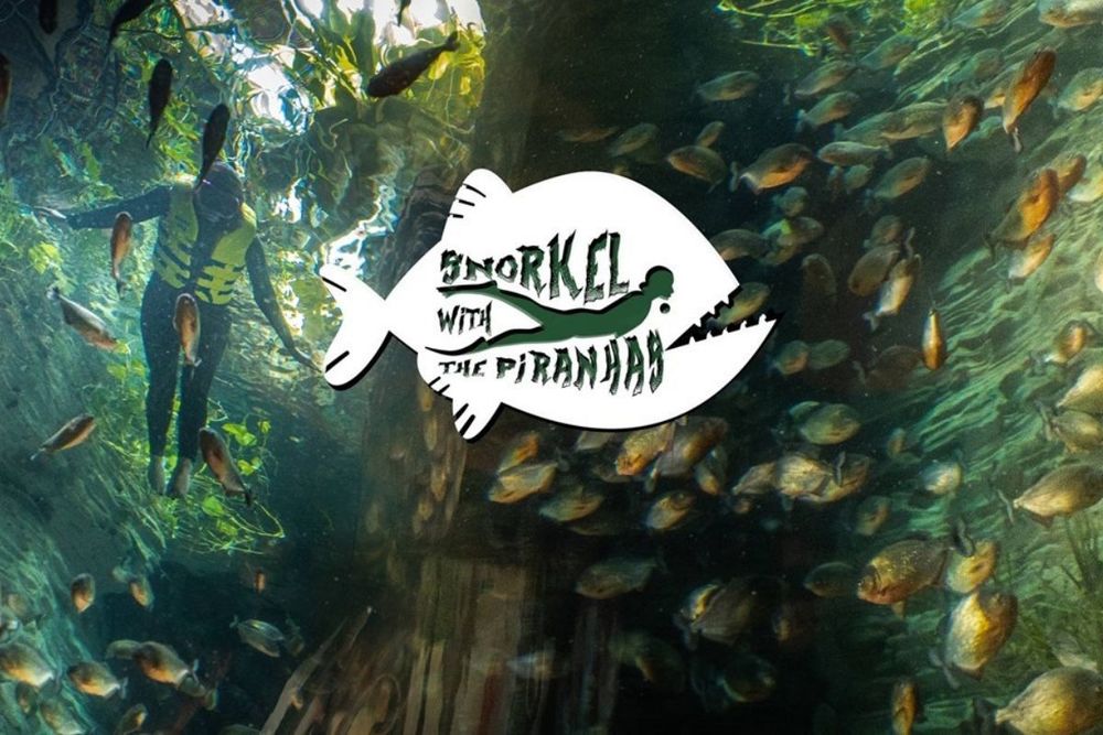 Thrill-Seekers Can Now Swim With Piranhas at The Green Planet