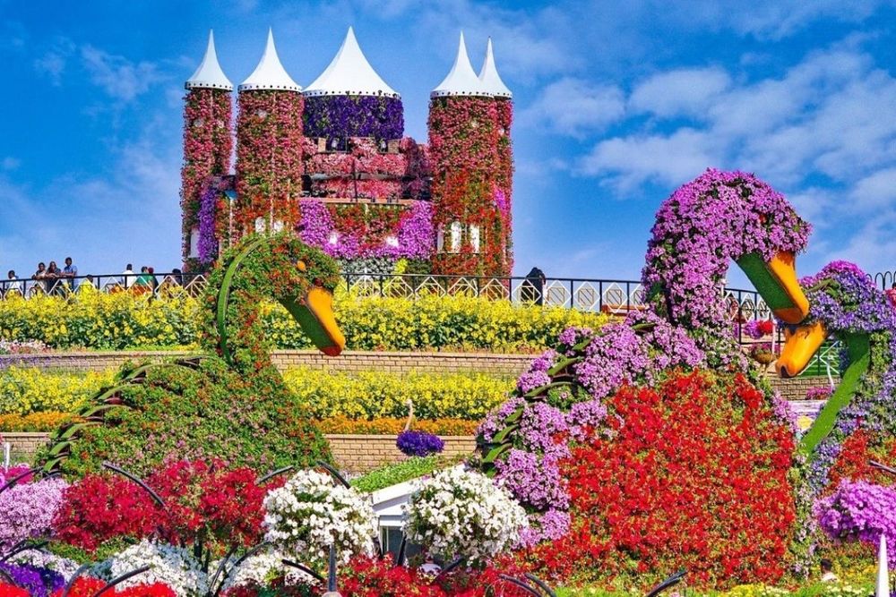 Dubai Miracle Garden is now welcoming visitors!