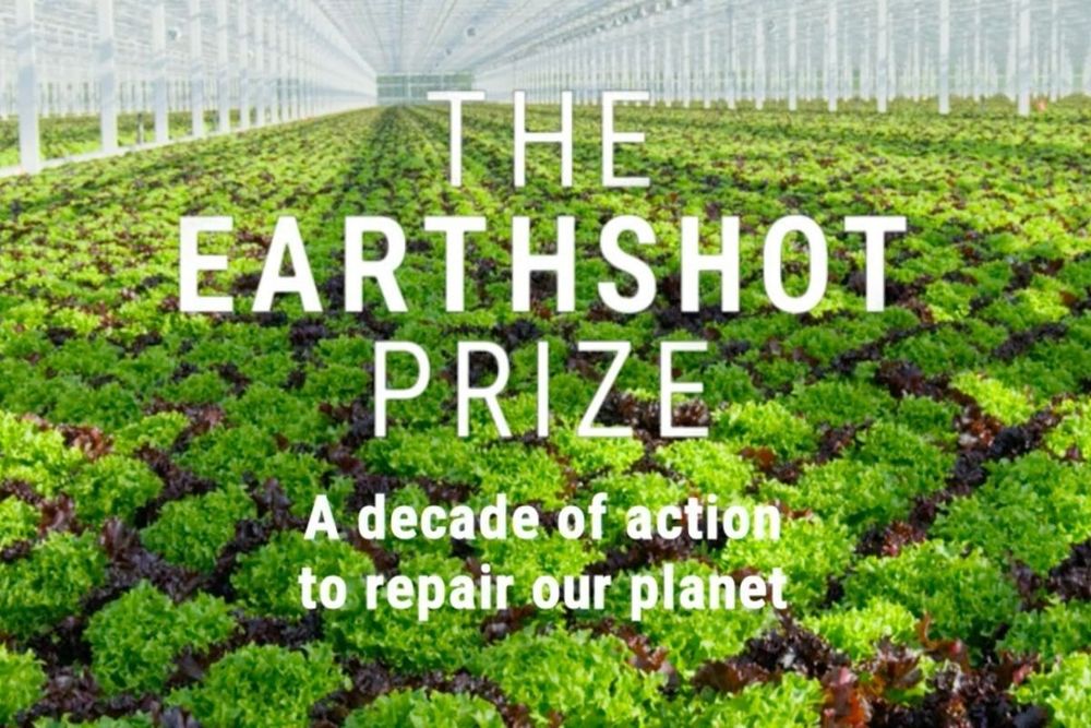 DP World Joins Forces With Expo 2020 Dubai And Is Announced As A Founding Partner Of The Earthshot Prize