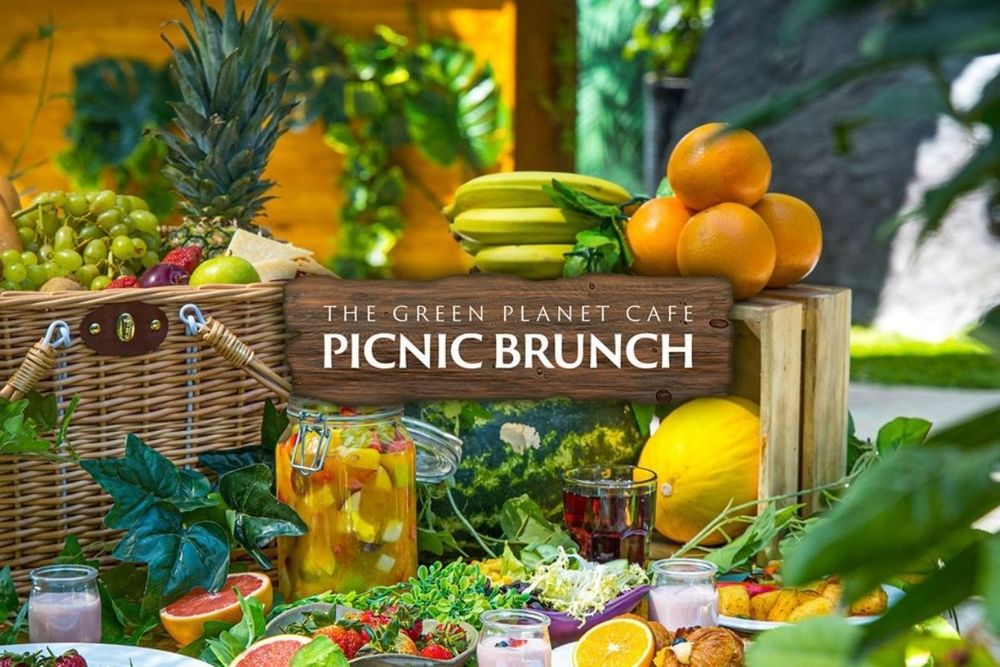 Get a chance to dine with animals in an exotic rainforest!