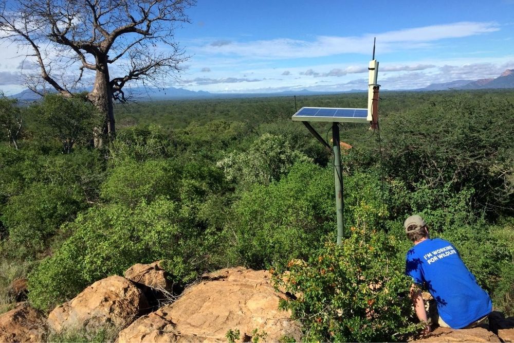 Expo 2020 Dubai, DP World, Zoological Society of London form alliance to protect natural world