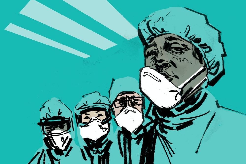 UAE Pioneers Award to honour frontline heroes: Mohammed bin Rashid