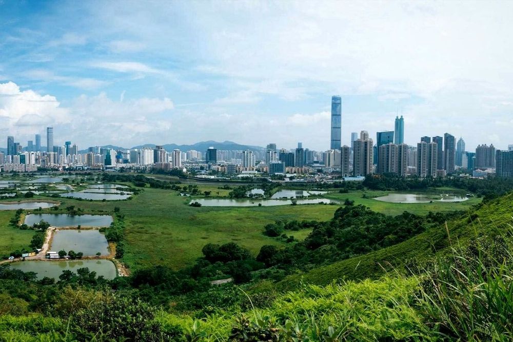 Expo 2020 Dubai to host Urban and Rural Development Week