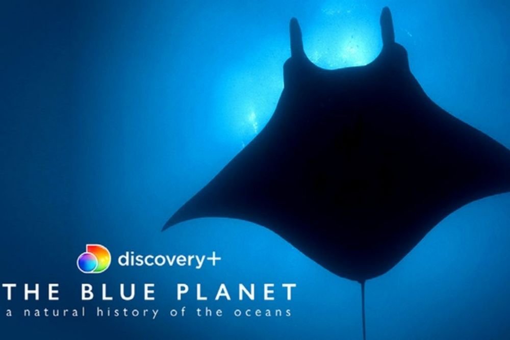 StarzPlay to launch discovery+ streaming service in MENA