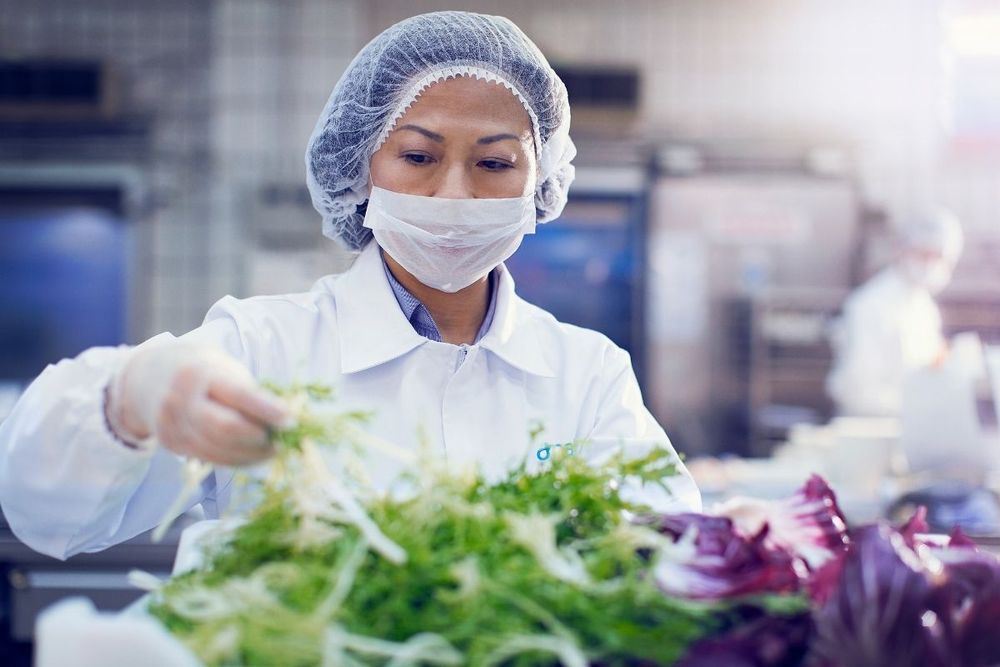 dnata Catering among first to adopt industry’s new safety guidelines globally