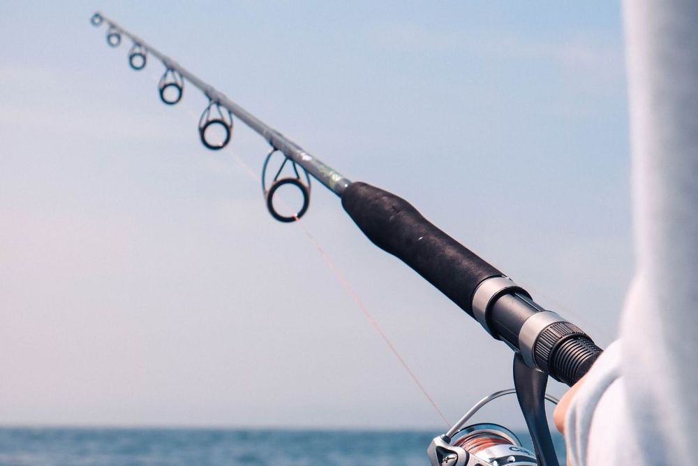 Hamdan bin Mohammed forms regulatory committee on fishing of living aquatic resources in Dubai