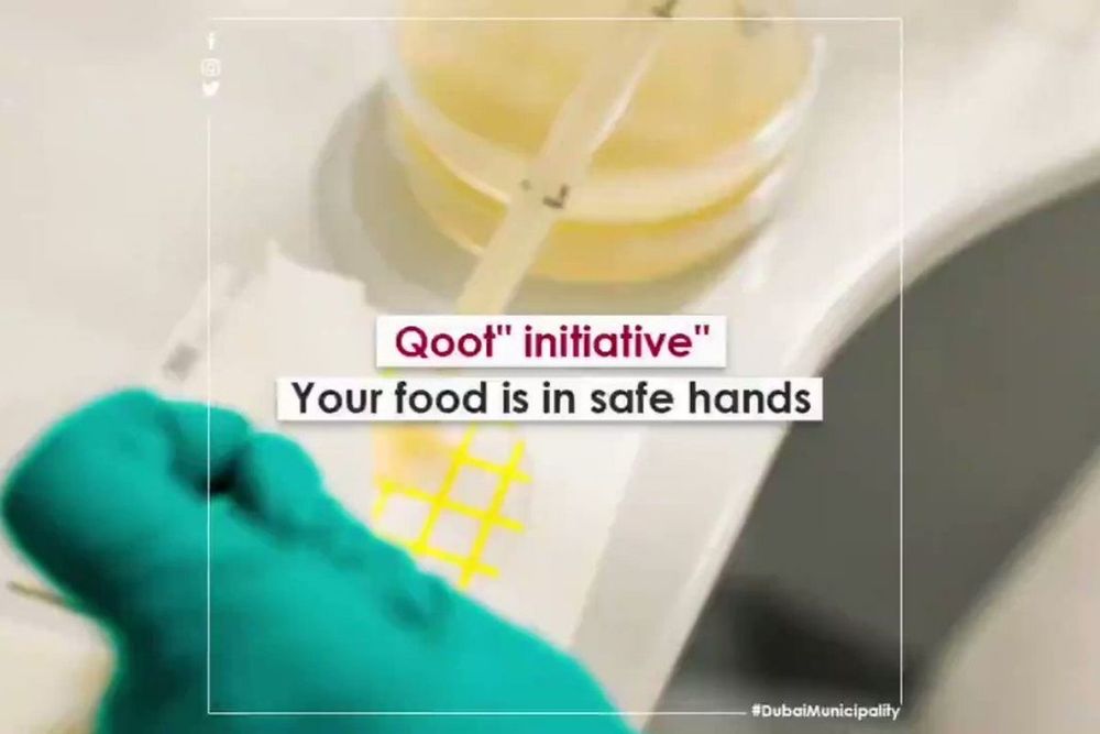 Dubai Municipality Launches Qoot Service for Food Sample Testing
