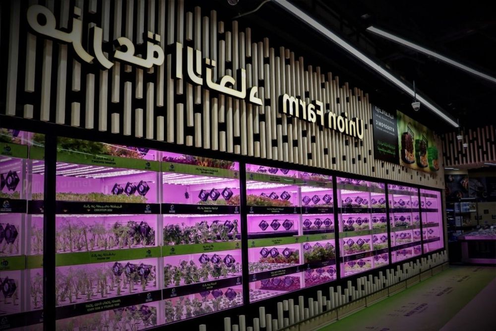 Union Farm: Union Coop's Latest In-house Organic Farming Concept Debuts at Al Warqa City Mall