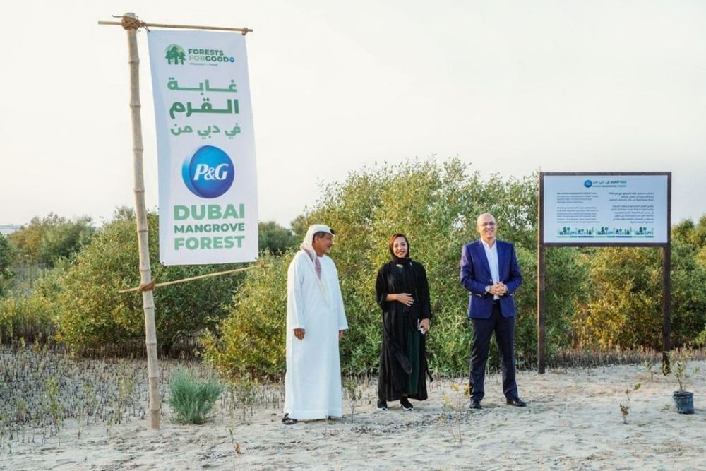 Emirates Marine Environmental Group, Procter & Gamble launch P&G Dubai Mangrove Forest