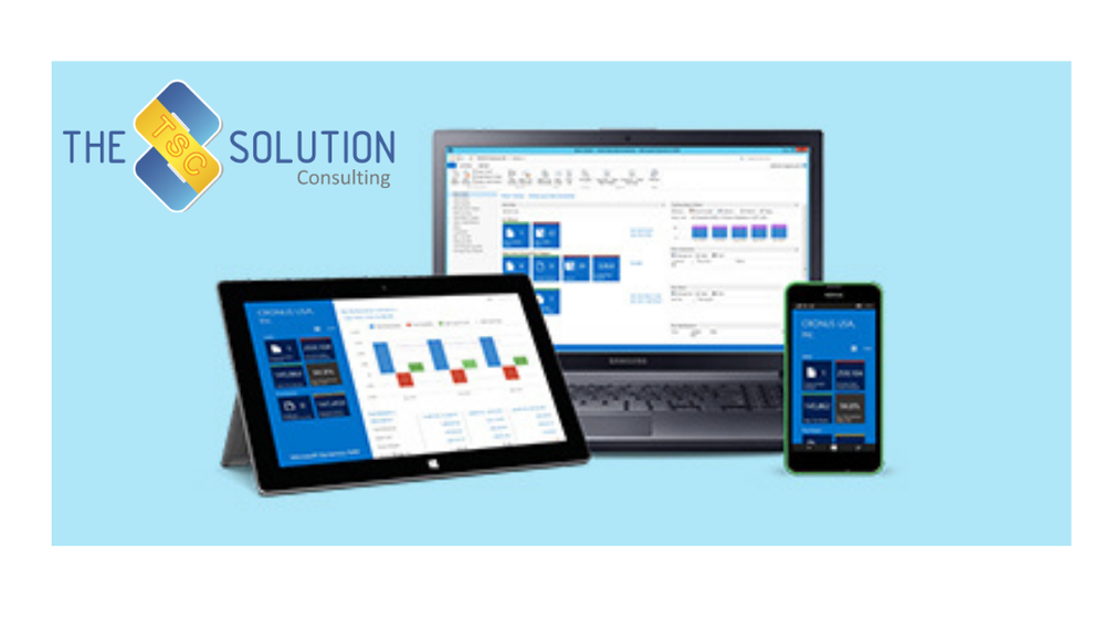 Interview with Sajeer Abdul Assiz, Managing Director at The Solution Consulting FZCO