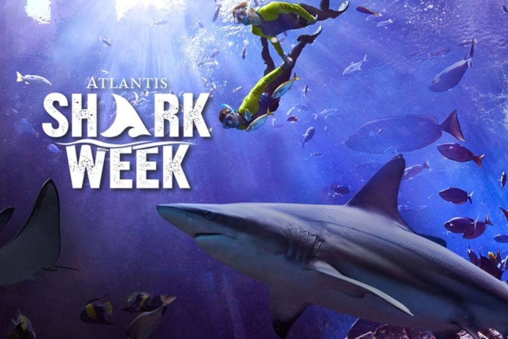 Atlantis Dubai set to run Shark Week next week