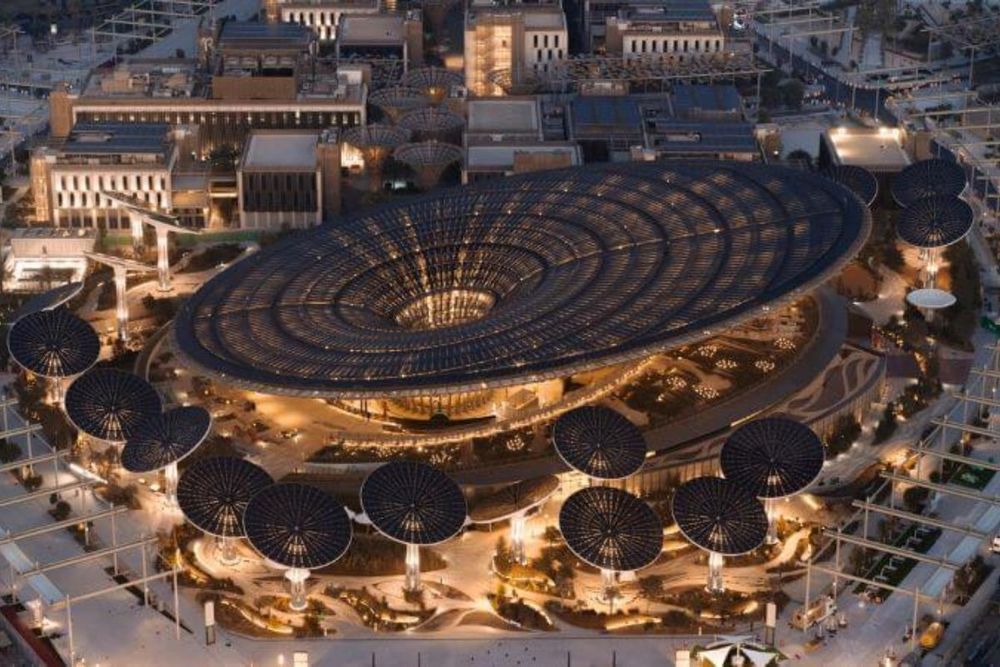 Expo 2020 Dubai: A glimpse into an art celebration of marine life in UAE