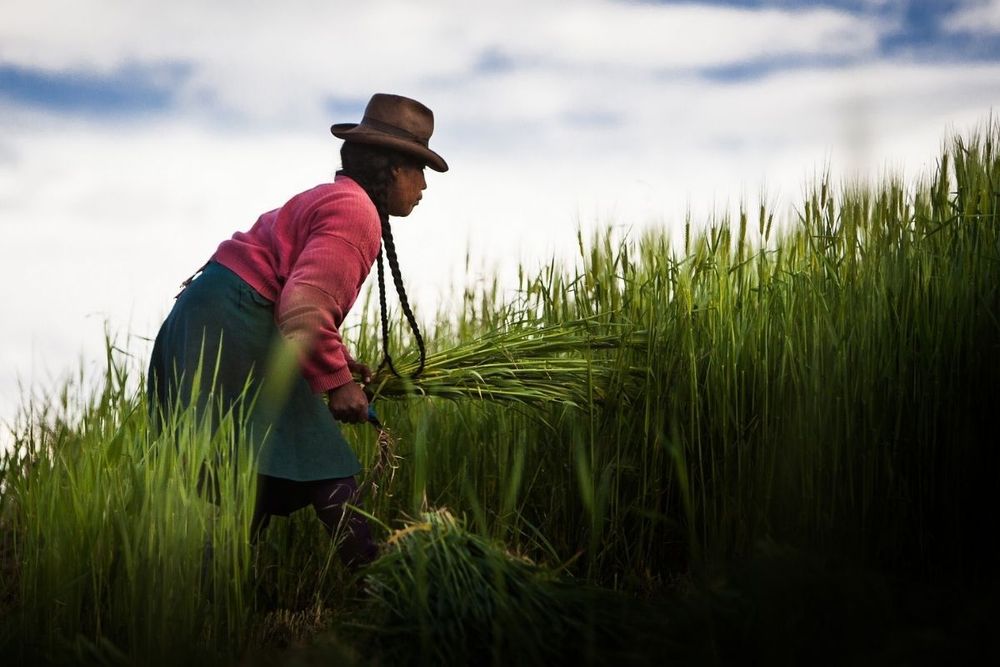 Climate and Biodiversity Week at Expo 2020 Dubai