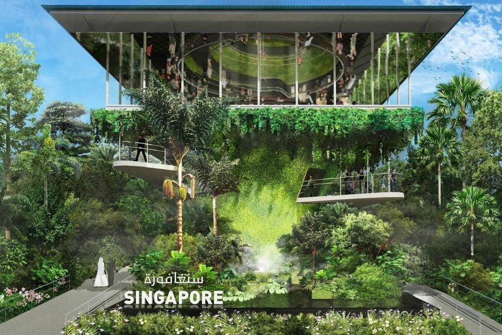 Expo 2020 Dubai: Stunning Singapore pavilion showcases how to build cities in sync with Nature