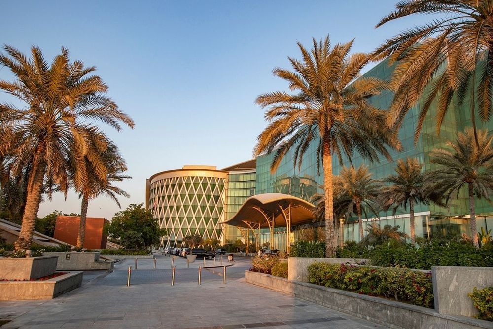 Entrepreneurs hungry for success as vertical farming & cloud kitchens lead new business set ups: Meydan Free Zone