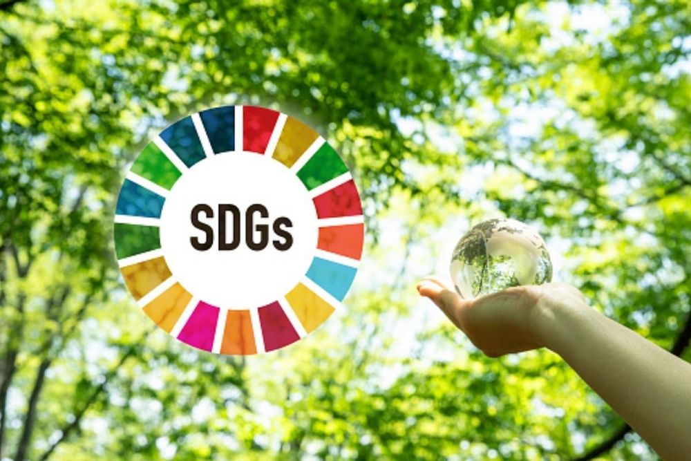 UAE Government launches SDG Young Leaders Programme