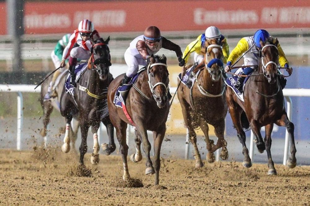 Emirates Racing Authority launches 'Racing Oscar Awards'
