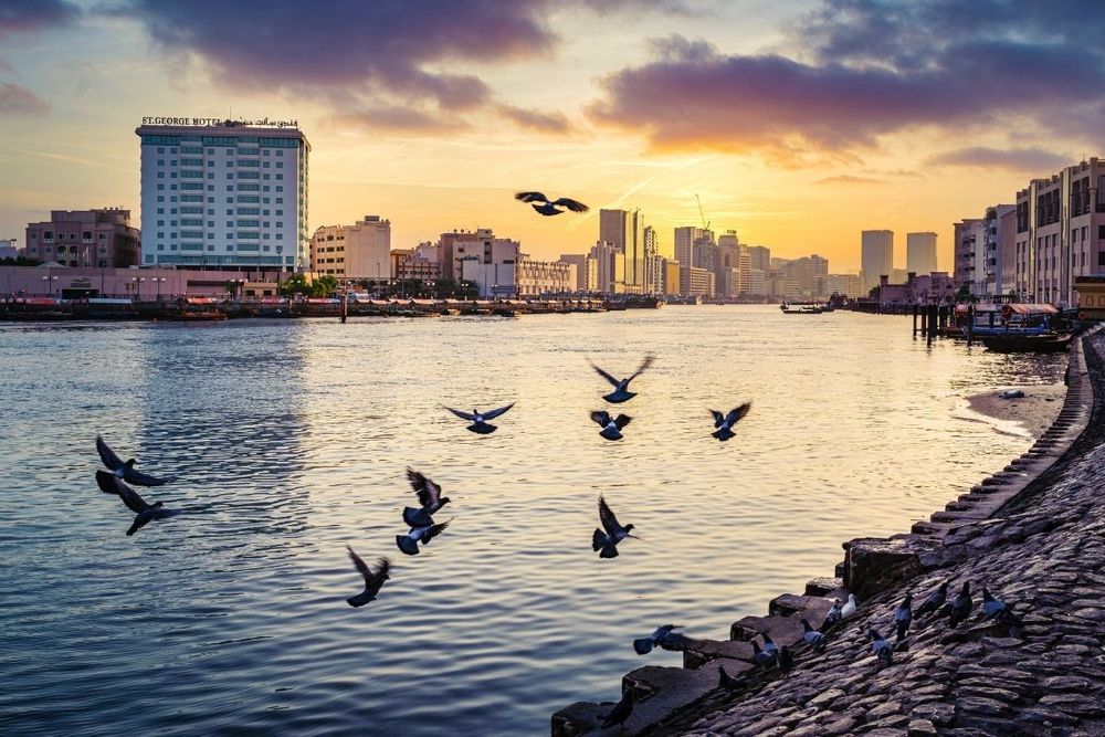 AED200 fine for feeding birds in Dubai